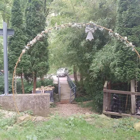 Проживание в семье Aitzkorri Сегама